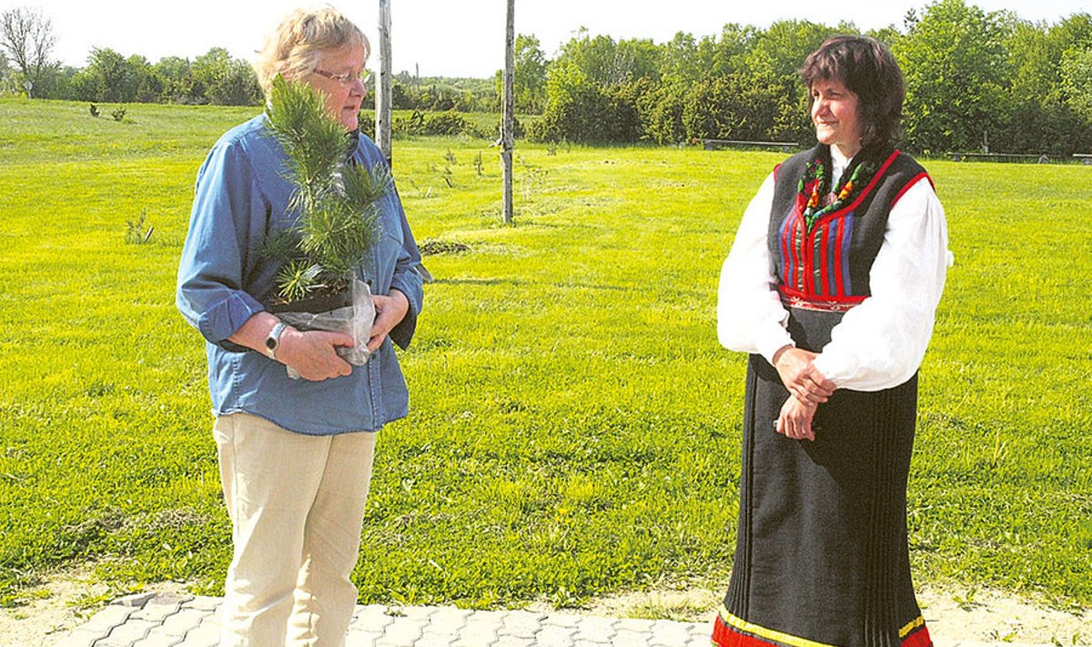 Ene Ergma annab Kaja Juulikule üle siberi seedermänni, mis jääb  Karala külla kasvama ja meenutama aastat, mil Karala küla  kandideeris aasta küla 2013 tiitlile.