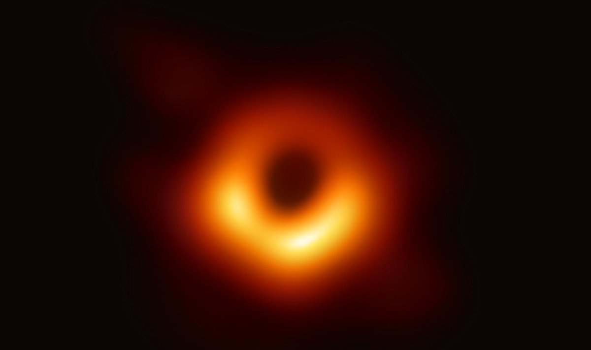 KAE PERRÄ: See tume laik seal keskel on must auk.