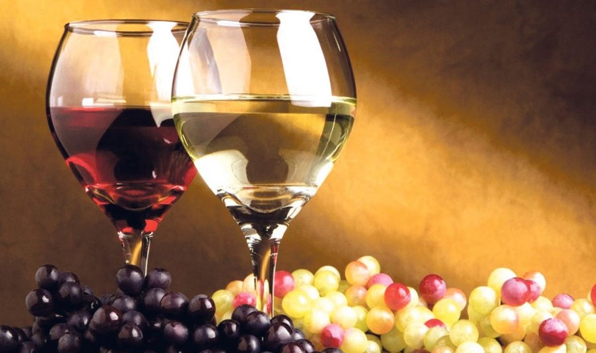 Eesti viinamari vajab käärimiseks lisasuhkrut.