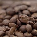 VIDEO: 9 nippi, kuidas pruulida ideaalset kohvi