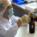 Soome teadlased asuvad maailma vanimat õlut mekkima