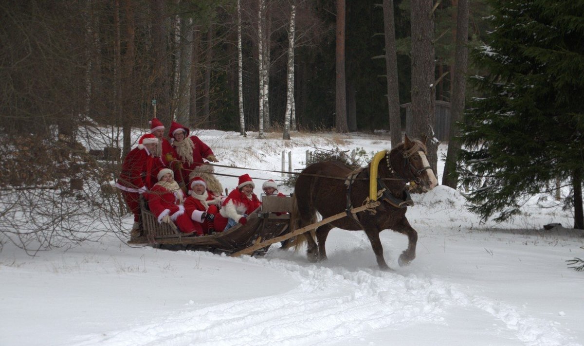 Jõuluvanad tähistasid Pärnumaal Korstna talus koos sepaga hobuseaasta algust