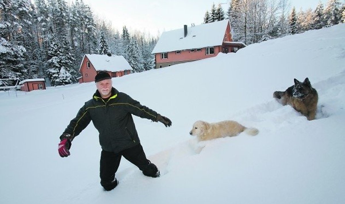 Koerad Kalli ja Saba naudivad koos peremees Vello Vaheriga Kallisaba lumiseid nõlvu.