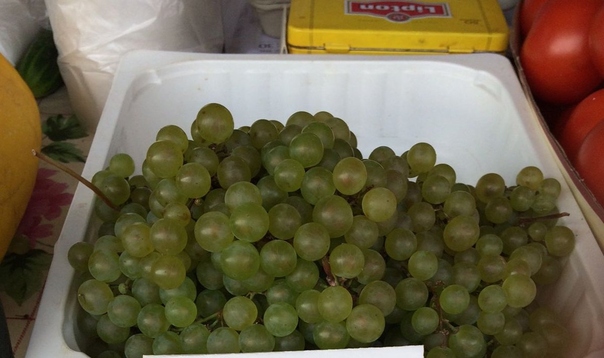 Tartu turul saab proovida Eestis kasvatatud viinamarju.