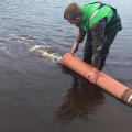 В реки Северной Эстонии запустили более 171 тысячи мальков лосося и сига