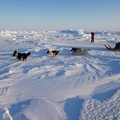 Gröönimaa jääkatte alt avastati Iirimaa-suurune veereservuaar