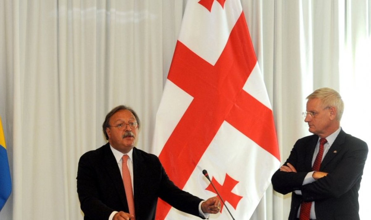 Gruusia välisminister Grigol Vašadze ja Carl Bildt