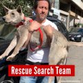 Liigutav lugu: vabatahtlikud on Beiruti plahvatuse järel aidanud uuesti kohtuda enam kui 20 lemmikloomal ja omanikul