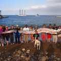 ФОТО | В Чили выловили гигантского сельдяного короля, считающегося предвестником катастроф