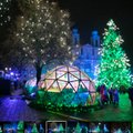ФОТО | В Каунасе зажглась рождественская елка — другим городам будет непросто ее превзойти