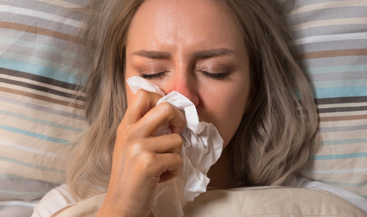 Hướng Dẫn Chi Tiết Về NOHU – Bí Mật Thú Vị