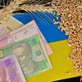 Ukraina kaebas EL-i naabrid teravilja impordikeelu pärast kohtusse