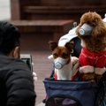 Hongkongis osutus koera koroonaviiruse proov „nõrgalt positiivseks”
