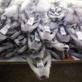 UURING: Karusnahksed riided ja aksessuaarid sisaldavad keelatud koguses mürgiseid kemikaale