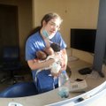 Медсестра спасла трех новорожденных из разрушенной больницы в Бейруте
