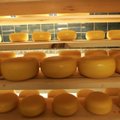 Poelettidele jõudis uus kodumaisest piimast tehtud Gouda juust