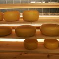 Saaremaa piimatööstus saadab märtsis Jaapanisse esimese juustupartii