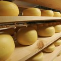 Lätlane üritas salaja Ukrainast Venemaale vedada 24 tonni juustu