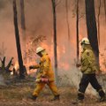 VIDEO | Austraalias võtsid tuhanded inimesed uusaasta vastu tulelõksus. Juurdepääsu nendeni pole