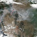 NASA satelliidifotod kinnitavad: Los Angelese kandis möllavad tulekahjud on ajaloo suurimad