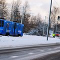 ФОТО | В Пыхья-Таллинне деревья упали на трамвайные пути