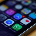 Корпоративный WhatsApp хотят сделать платным