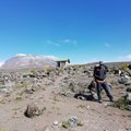 Kilimanjaro — mitte ainult alpinistidele, 6. osa | Lõpp paistab, peaaegu…