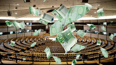 Выделяемых из бюджета Европарламента средств хватает и на выплату пенсий депутатам, и на поддержку соратников по партии  