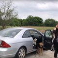 Jahmatav vaatepilt: naine viskas oma koerad süüdimatult tee äärde ja kihutas seejärel autoga minema