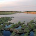 Eesti looduskaitseprojekt jõudis nelja parima hulka