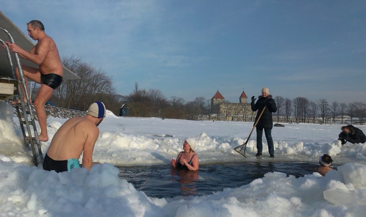 5. veebruaril toimunud talisuplus, kus lisaks Saaremaa T-klubi vapratele talisuplejatele käisid jääaugus teisedki suurepärase talveilma nautlejad, nende hulgas Kuressaare linnapea Hannes Hanso.