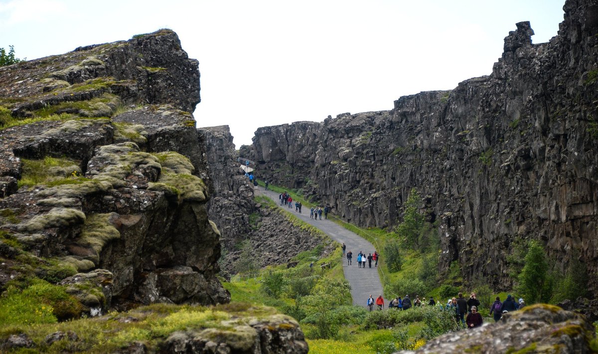 Maa ainus paik, kus saab jälgida, kuidas Euraasia ja Põhja-Ameerika laamad lahknevad, on Islandil Þingvelliri orus.