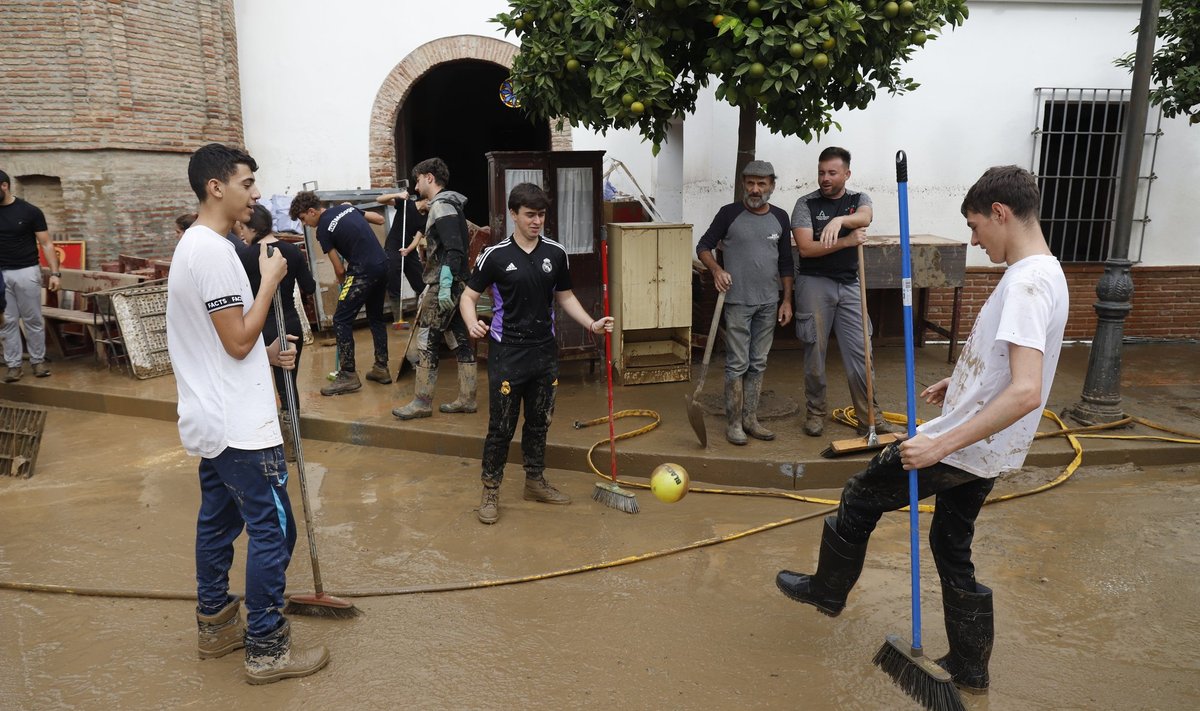 Koristustööd Málaga provintsis Benagarmosas