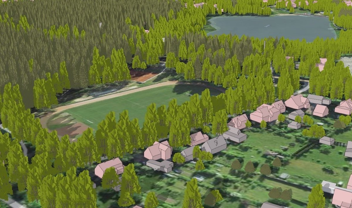 Реалистичная 3D-модель лесного покрова в Элва