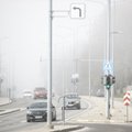 Осторожно! Эстонию накроет туман, синоптики вынесли предупреждение