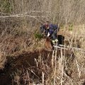 ФОТО | Спасатели помогли лосенку выбраться из канавы