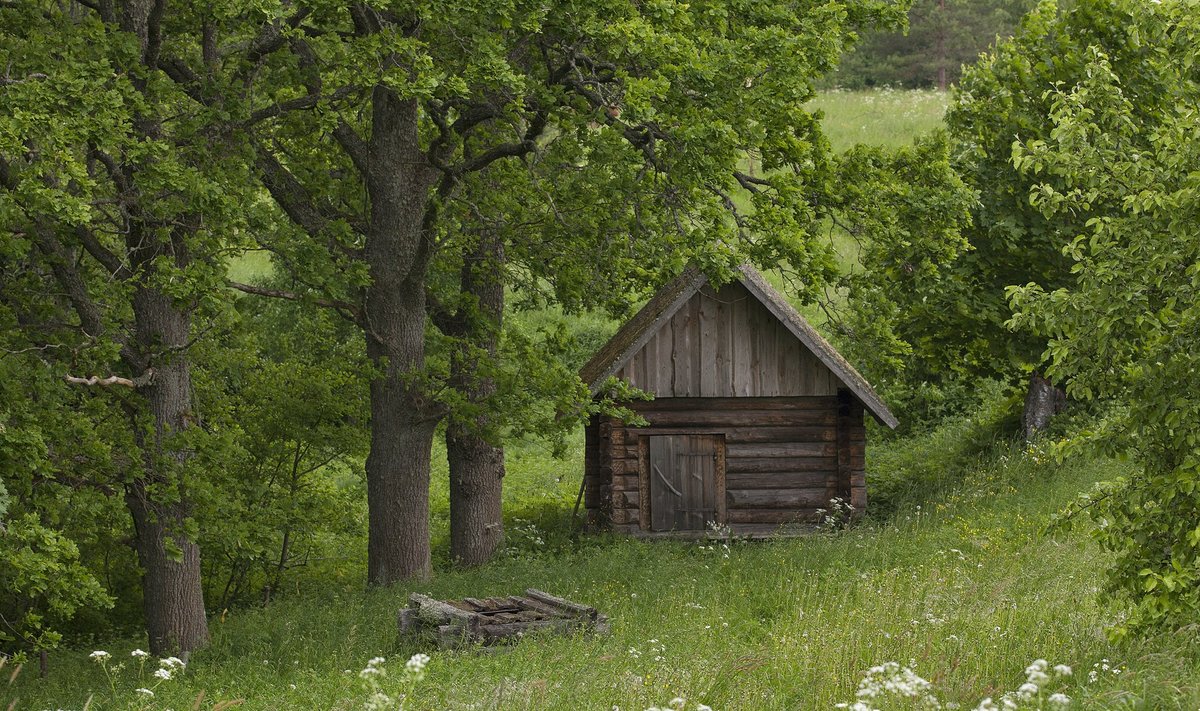 Hinni talu Jõksi külas, Vana-Võrumaal, kultuurimäestis