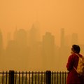 Нью-Йорк под оранжевым смогом: наблюдения корреспондента Би-би-си