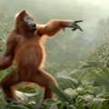 Tantsuline VIDEO | Vaata, kuidas kiisud tantsivad ja uljas ahv läheb pärast lonksu apelsinimahla nii hoogu, et muutub tõeliseks John Travoltaks!