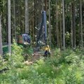 VIDEO | Harvester laululindude vahel - RMK rikkus Tartumaal pesitsusrahu