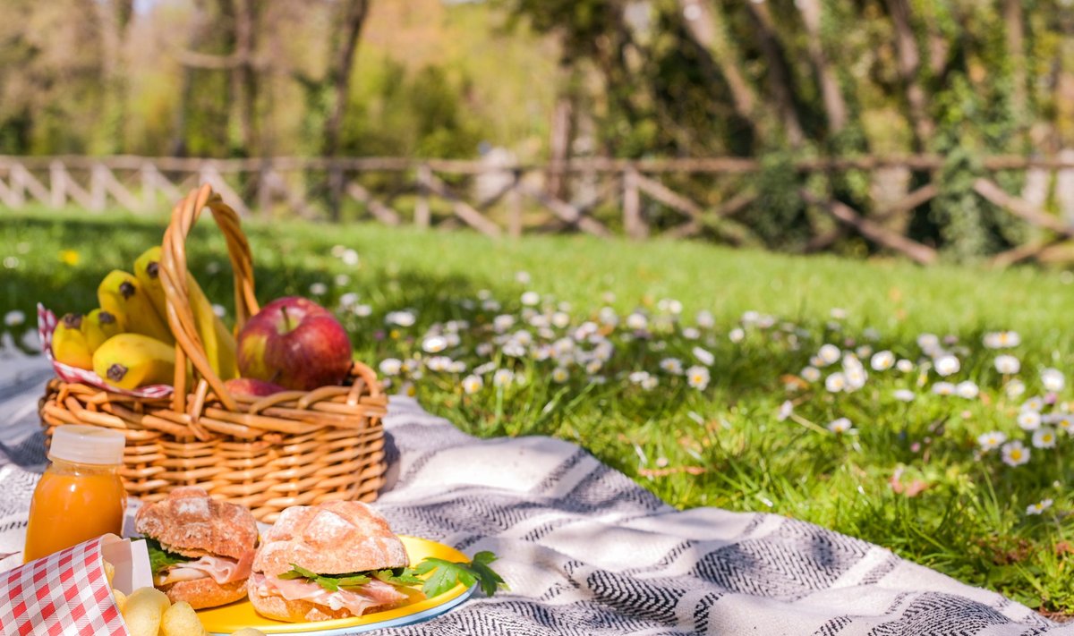 Piknikule on hea kaasa võtta toite, mis on kodus valmis tehtud ega vaja soojendamist.