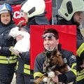ВИДЕО | Невероятно умильные кадры: спасатели Йыхвиской команды поддержали приют для животных фотосессией с четвероногими!