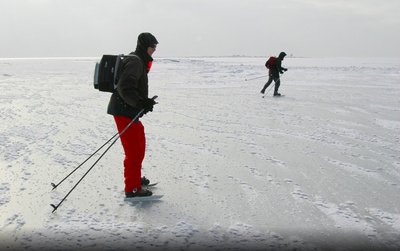 Uiskudega Varbla laidudel.