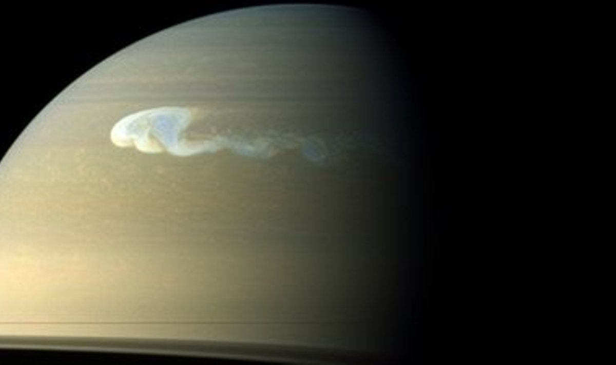Saturni Suur Valge Laik 24. detsembril 2010. Tormiriba laius ulatub 10,000 kilomeetri ning pikkus 17,000 kilomeetrini. Foto: NASA, JPL-Caltech, SSI