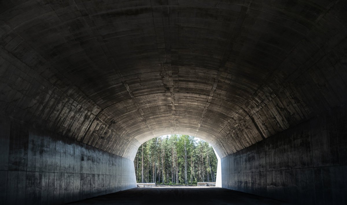 Rail Baltica Saustinõmme ökoduktis paistab tunneli lõpust valgust.