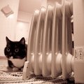 ТОП‑5 причин, почему в разных домах разные тарифы на тепло