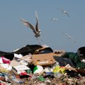 Põhjamere aegade suurim plastikureostus tapab linde