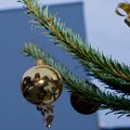 PÄÄSTJATE JÕULUBLOGI: Mida teha, et jõulupuu kodus ei süttiks ja tervet elamist maha ei põletaks?