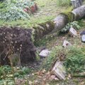 FOTOD: Tormituul lükkas kalmistul suure puu kalmudele pikali