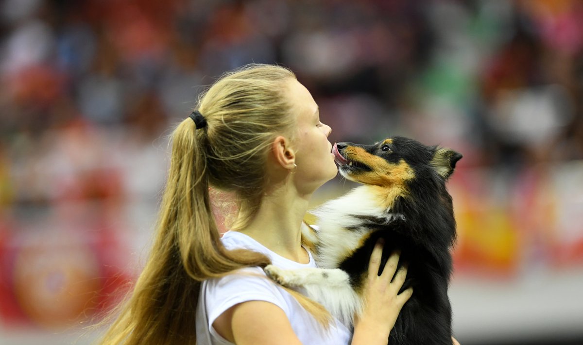 Eesti koerasportlane Marta Miil koeraga Jay vahetult peale MMi jooksu.